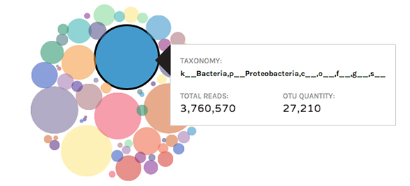 A Framework for Visualizing Bio Data #2