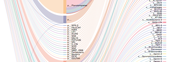 A Framework for Visualizing Bio Data #4