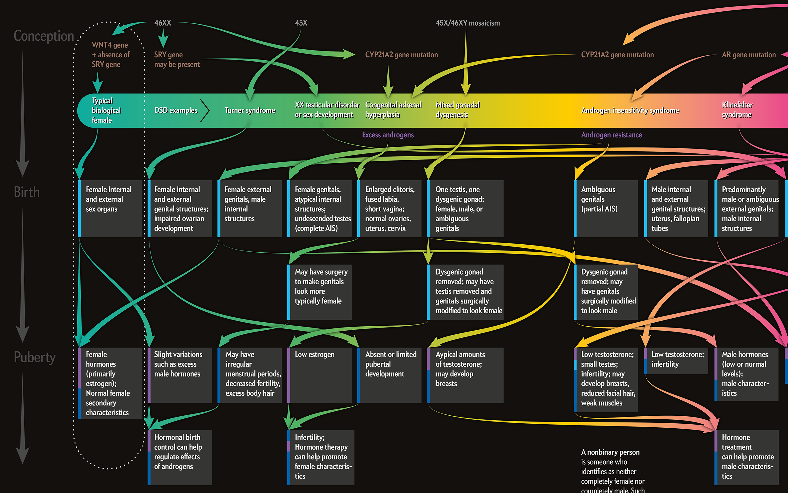 Pitch Interactive Beyond XX and XY