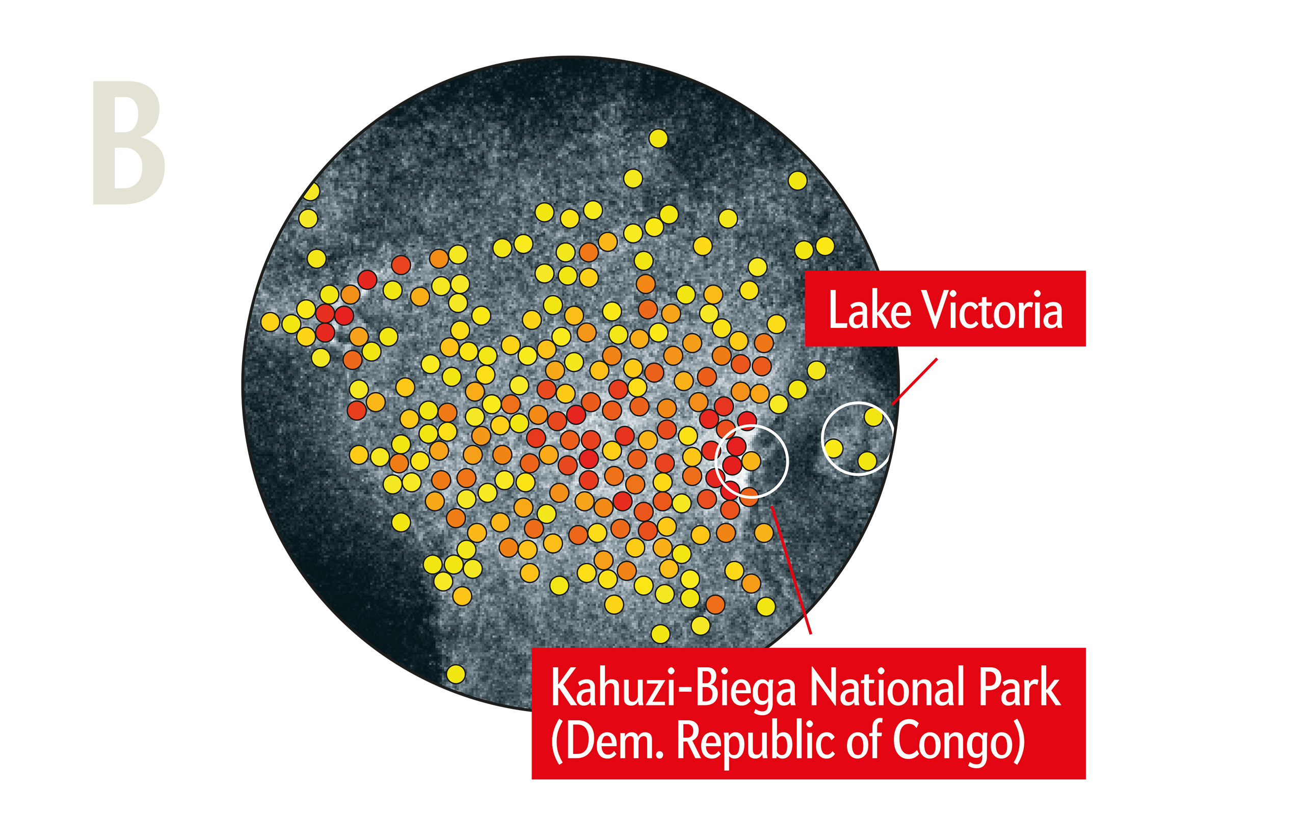 Lightning Hotspots #6